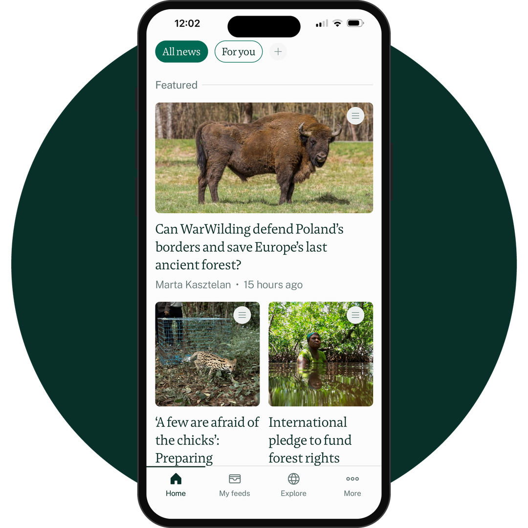 undefined mobile app mockup