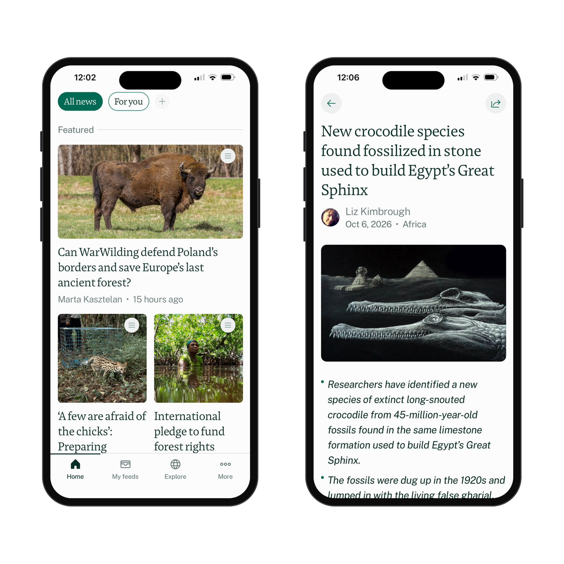 Two smartphone screens showing Mongabay's news articles in the app. Left: article about Polish forest conservation featuring a bison. Right: discovery of a fossilized crocodile species.