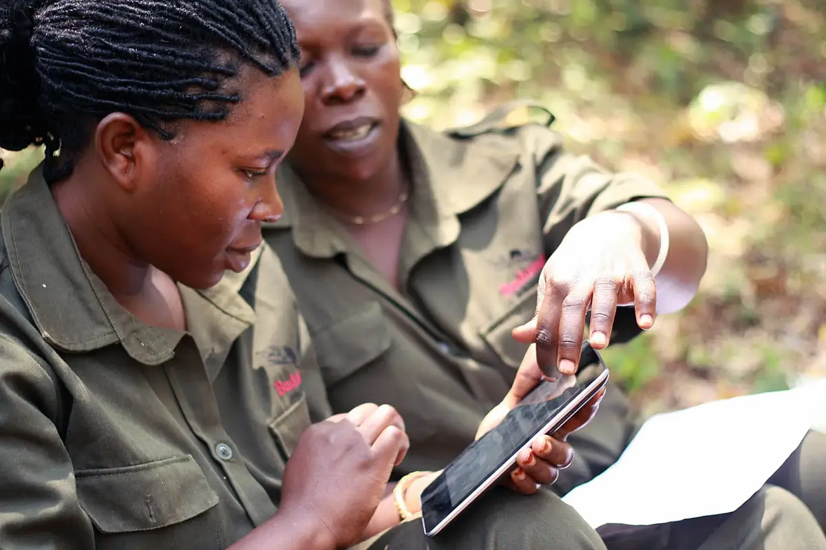 People using Global Forest Watch App