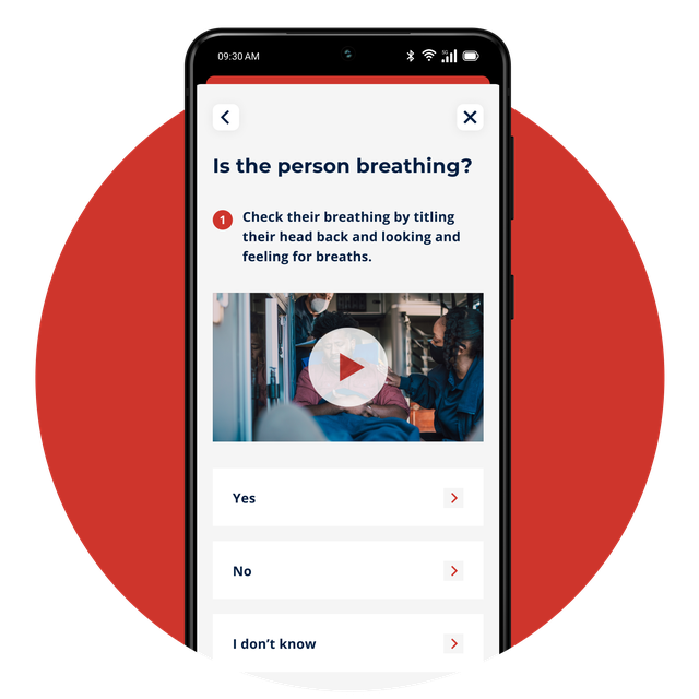 Phone screen showing the interactive quizzes feature.