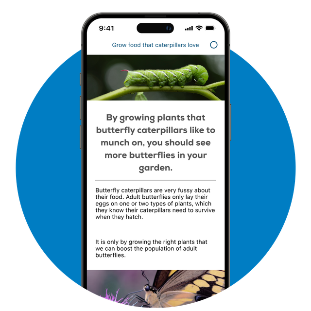 Phone screen displaying the information available in the app. For example, 'Grow food that caterpillars love'.