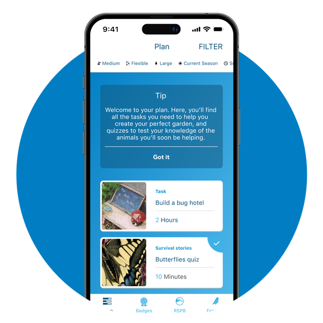 Phone screen showing the 'Plan' page in the app.
