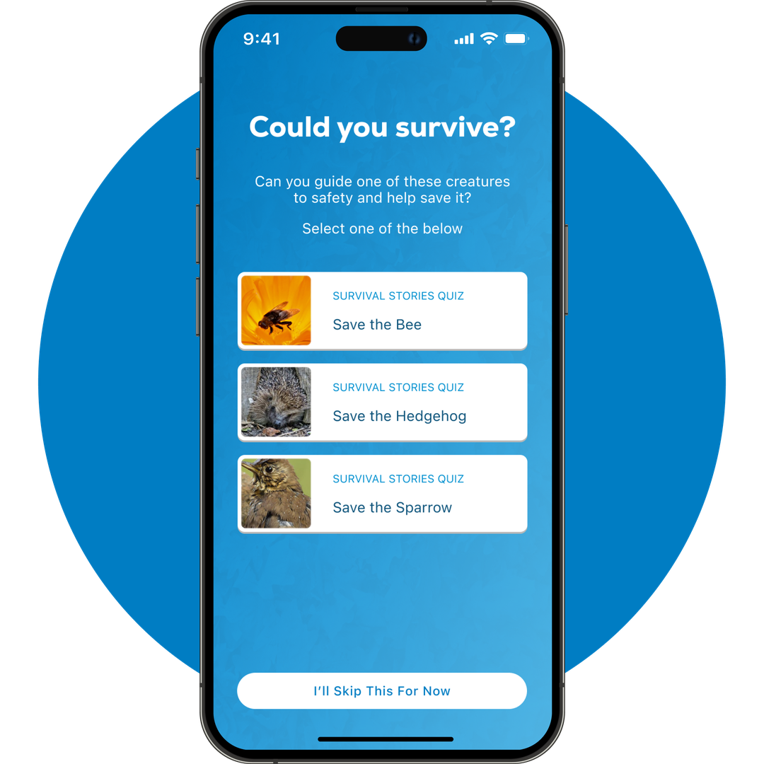 undefined mobile app mockup