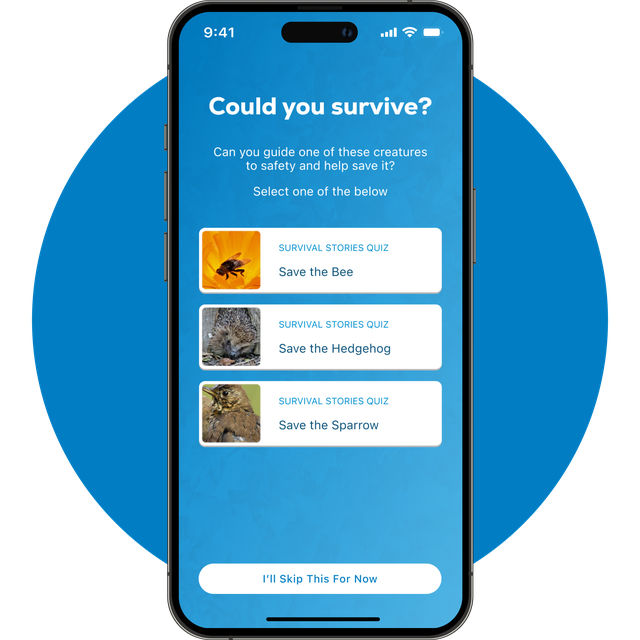 Phone screen showing the quizzes in the app.