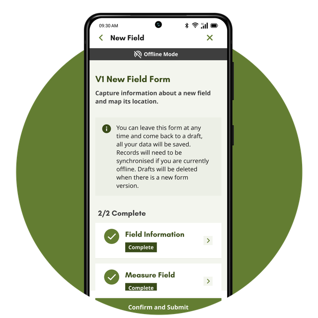 Phone screen in offline mode showing the form feature.