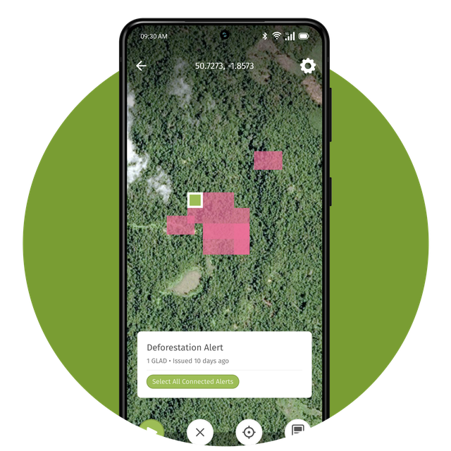 Forest Watch App Tracking Page