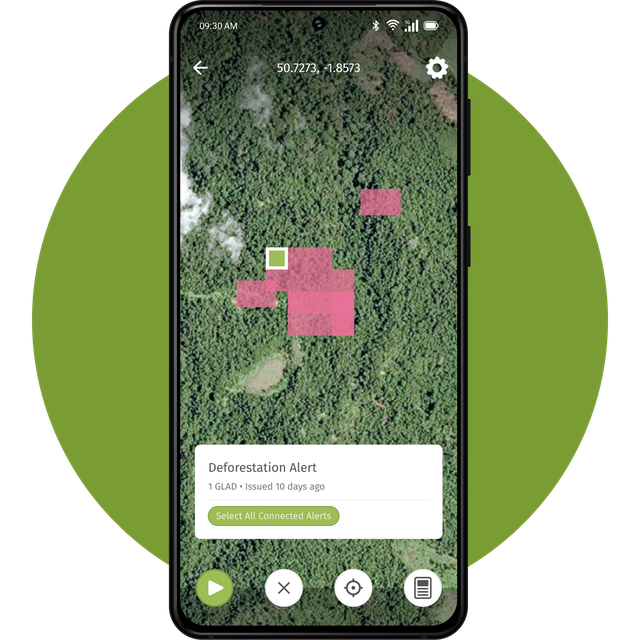 Forest Watch App Tracking Page