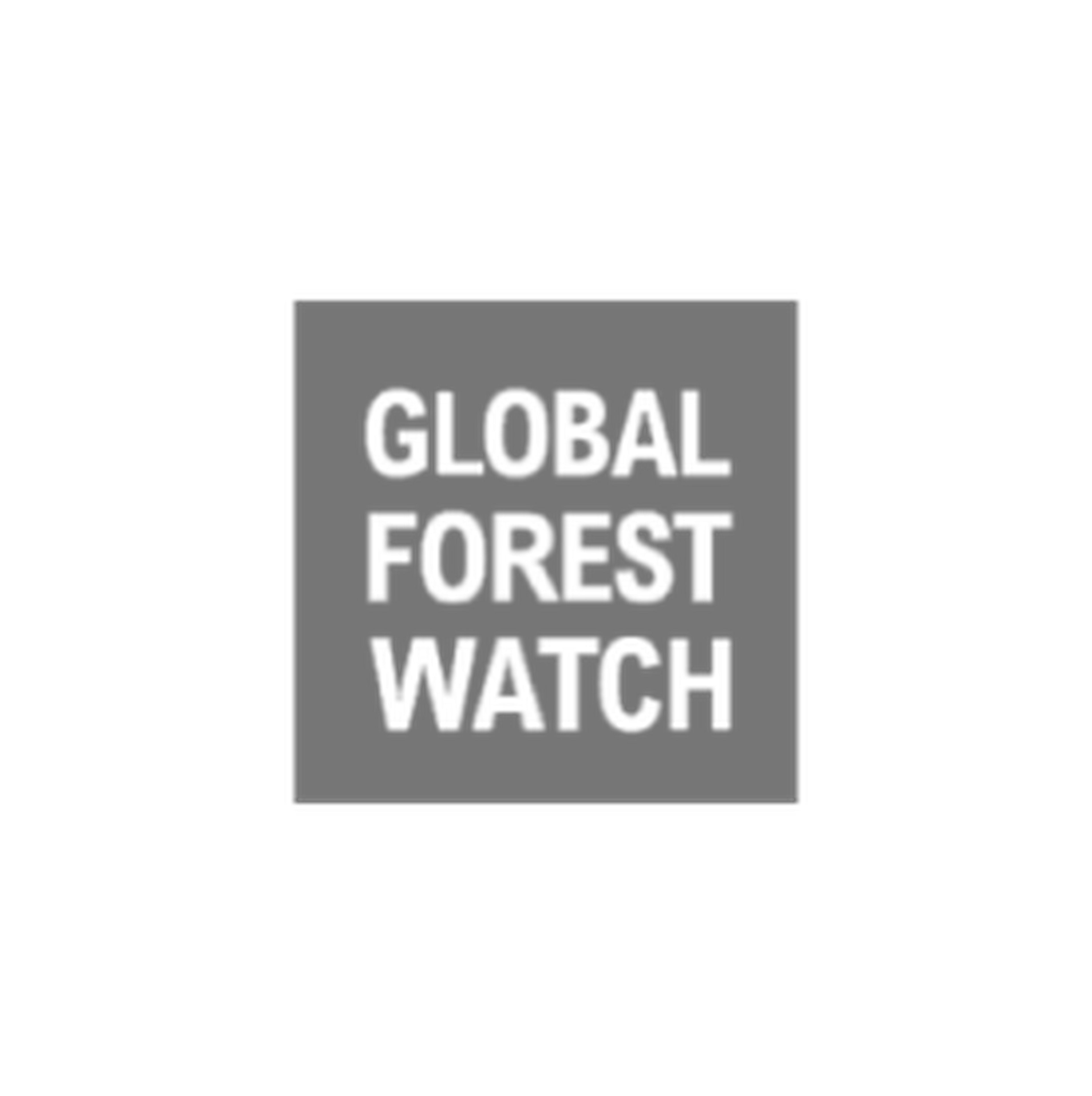 Global Forest Watch logo