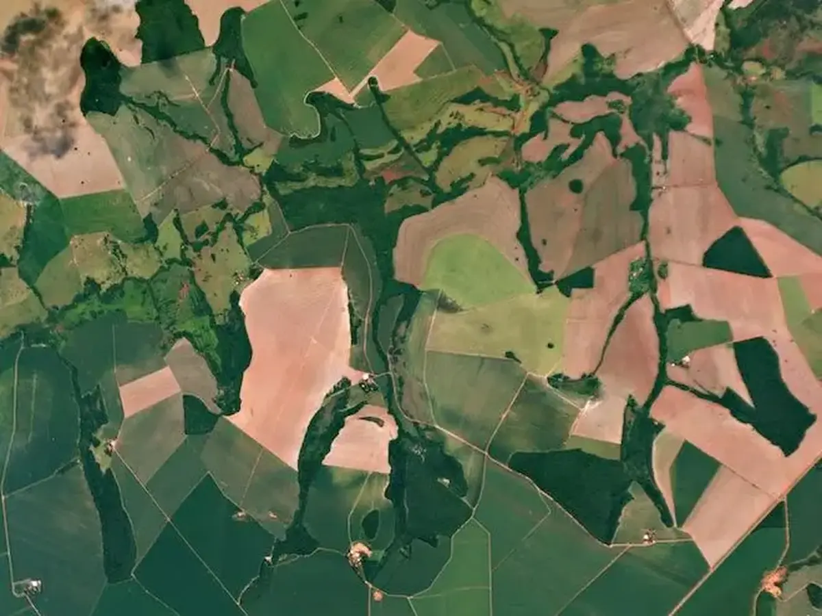 Deforestation Satellite Image
