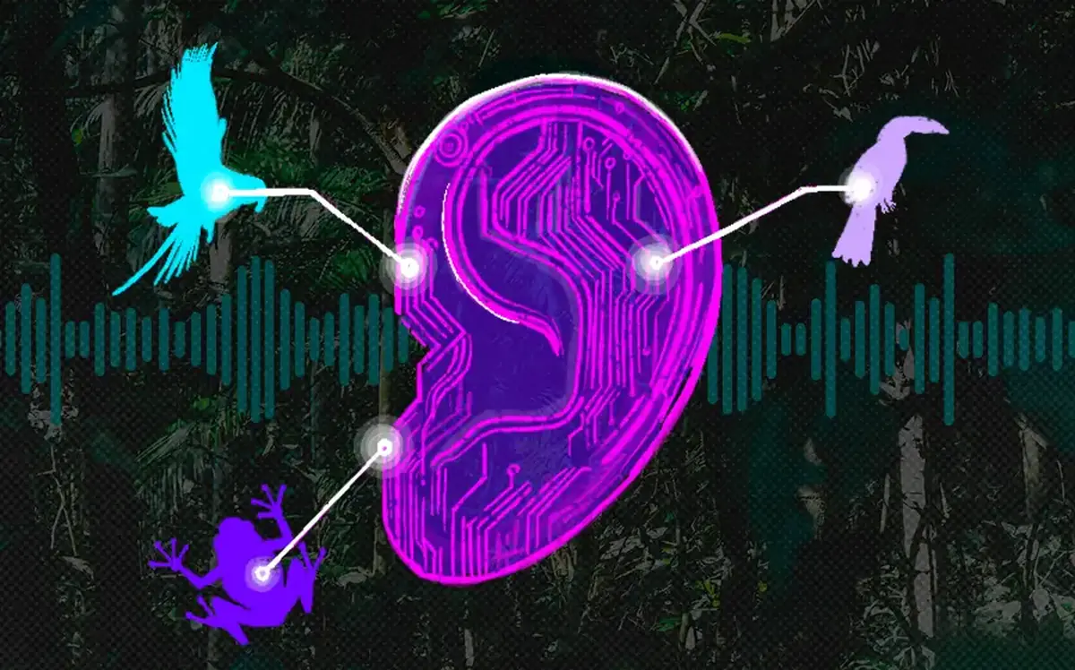 An ear with sound waves in the background and silhouettes of different animals found in the forests.